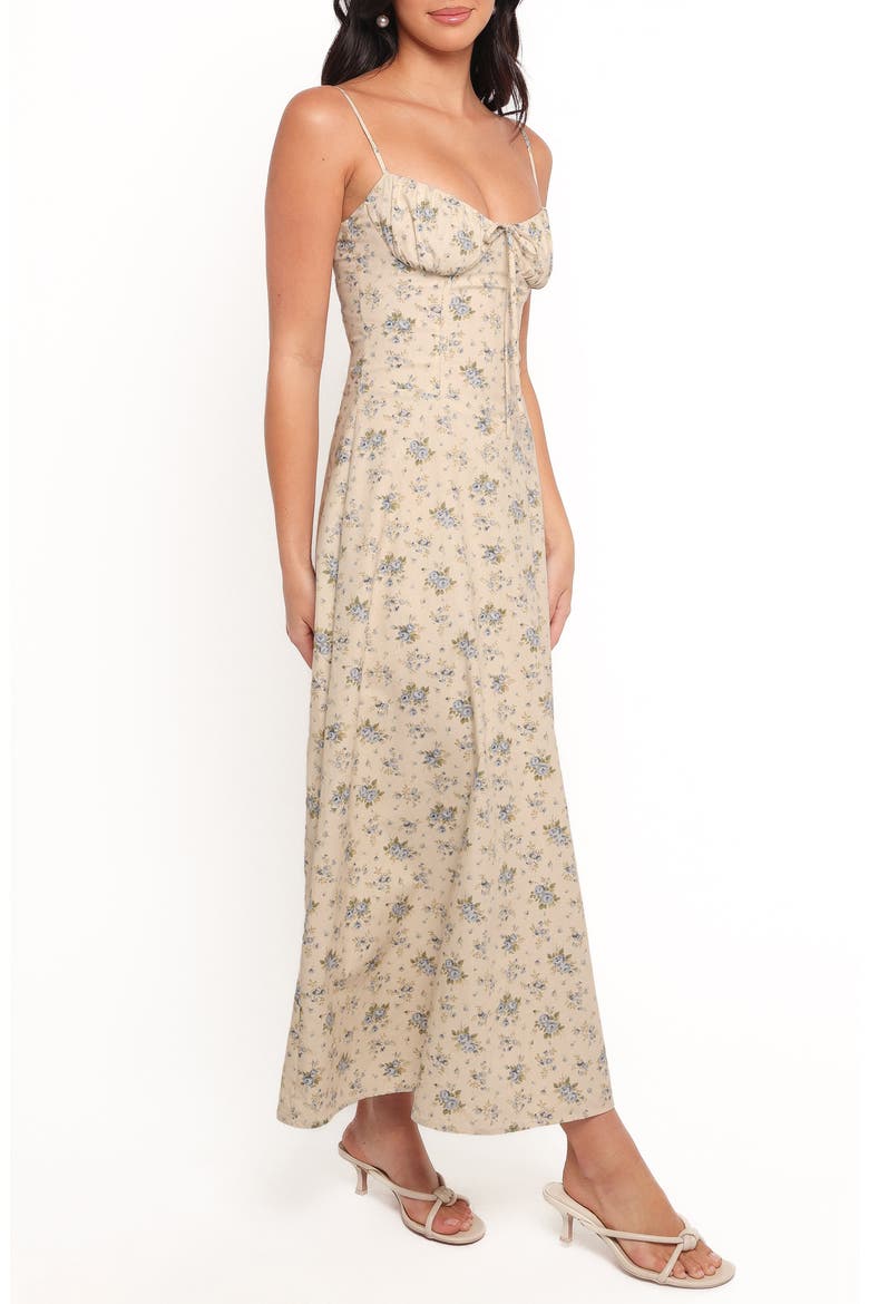 Tiarna Lace Up Back Sleeveless Maxi Dress, Alternate, color, BLUE FLORAL