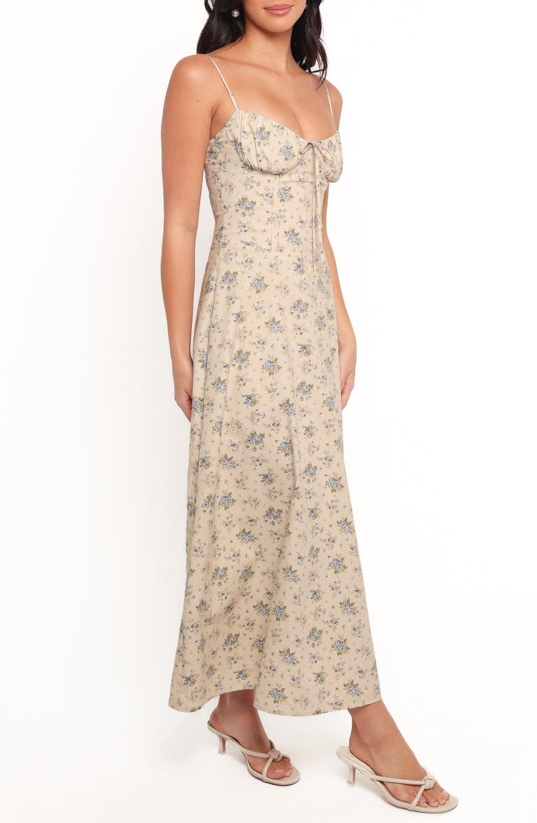 Petal & Pup Tiarna Lace Up Back Sleeveless Maxi Dress, Alternate, color, Blue Floral