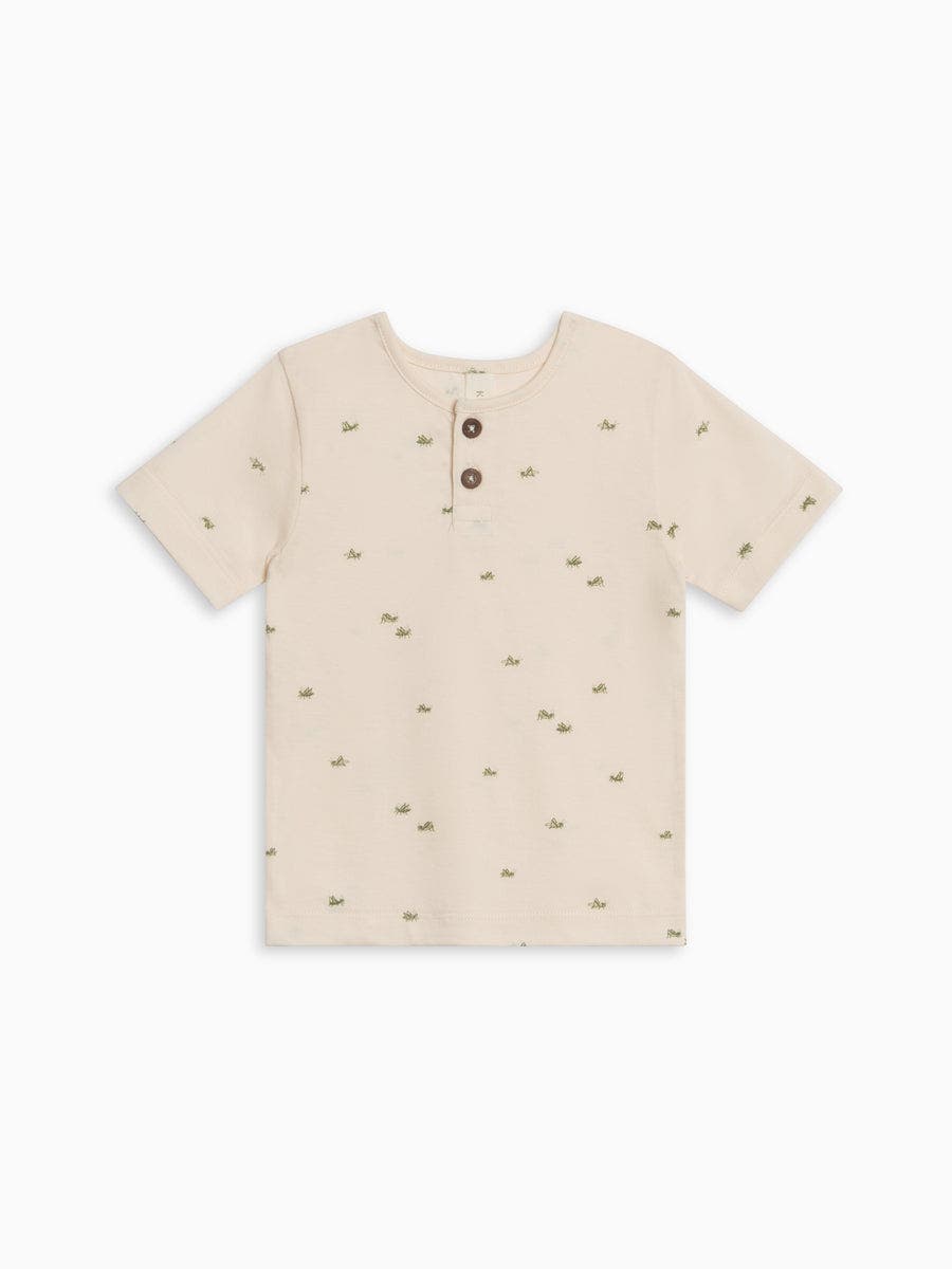 selected Grasshopper / Fern + Mint
