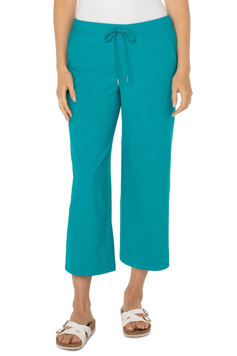 Pull-On Crop Wide Leg Pants, Main, color, LAKE BLUE