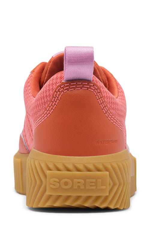 Sorel Ona Ave Waterproof Low Top Sneaker In Tuscan/gum