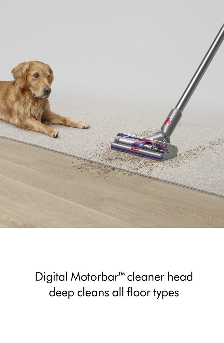 Dyson V15 Detect Complete Cordless Vacuum, Alternate, color,