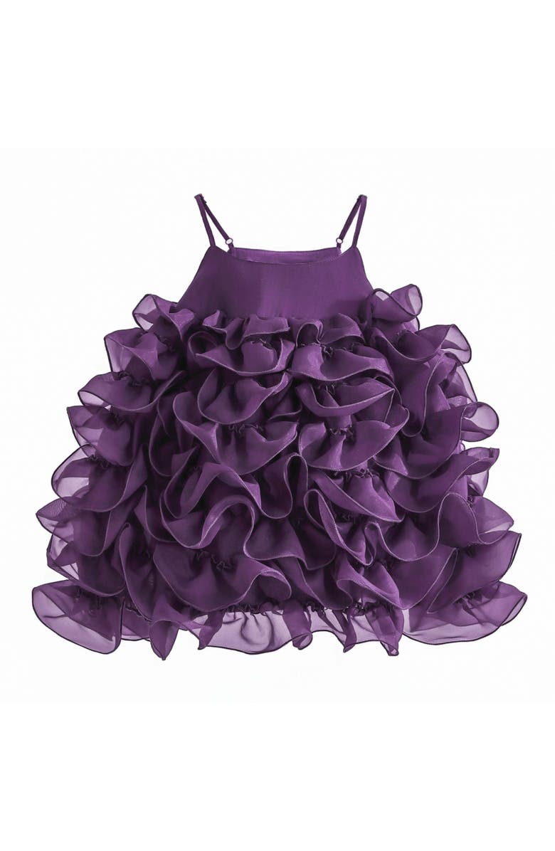Tulleen Vionara Ruffle Dress, Alternate, color, Purple