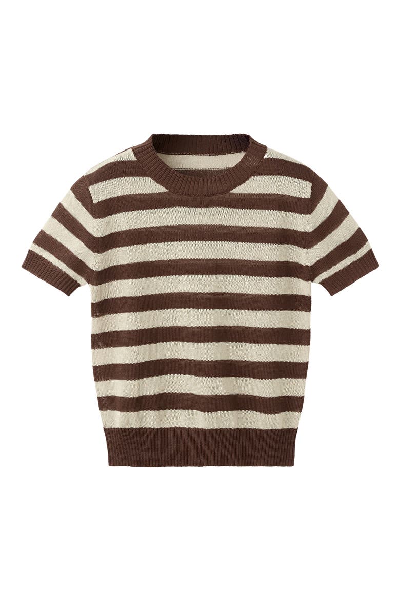 Stripe Crop Sweater, Main, color, CHOCOLATE