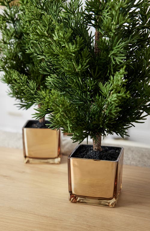 Balsam Hill Evergreen Set Of 3 Tabletop Trees In Green