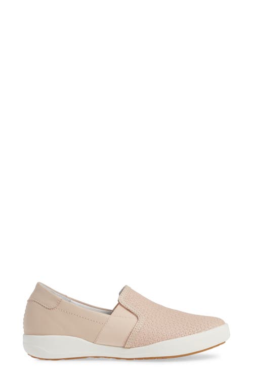 Shop Josef Seibel Sina 39 Sneaker In Rosa Leather