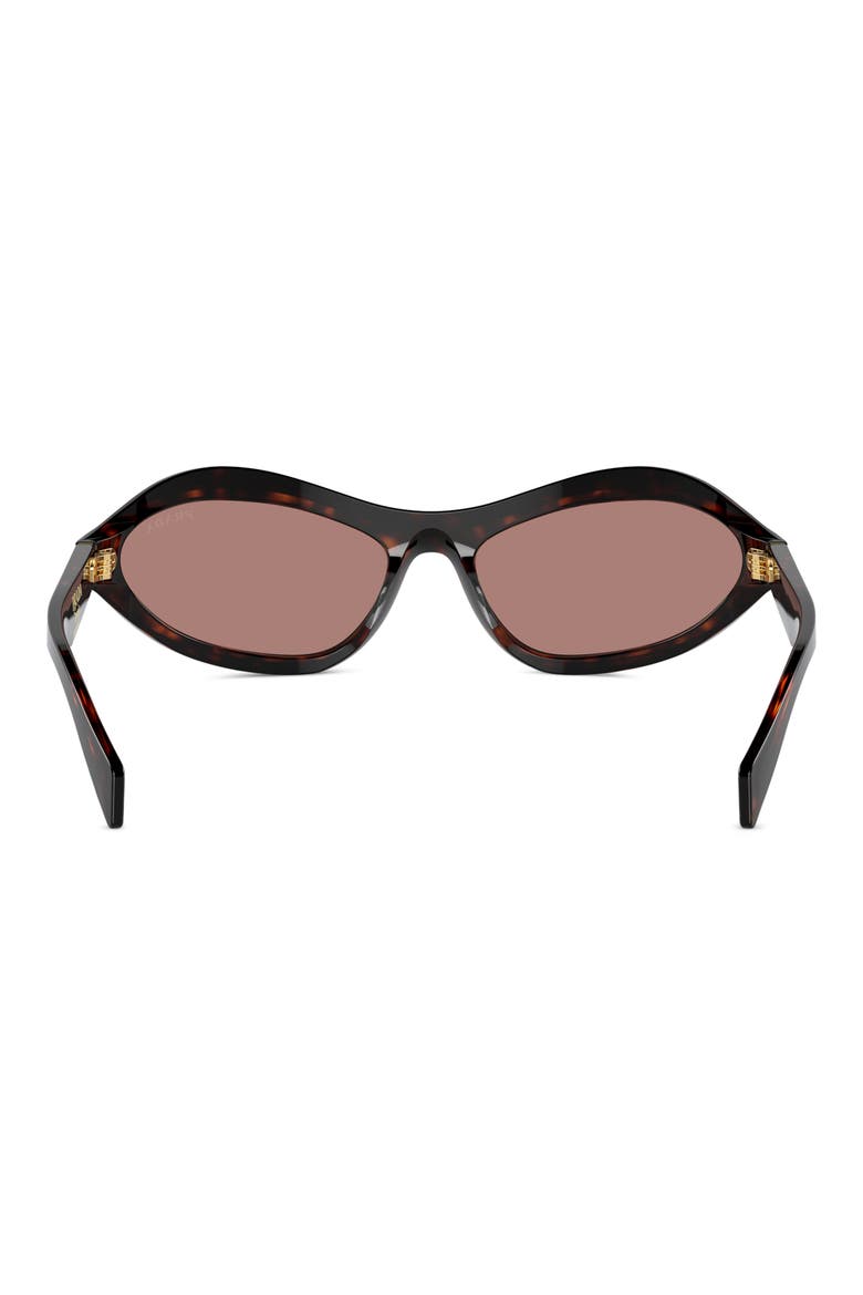 63mm Oversize Oval Sunglasses, Alternate, color, LITE BROWN