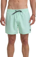 Quiksilver Everyday Solid Volley Swim Trunks