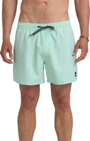 Quiksilver Everyday Solid Volley Swim Trunks