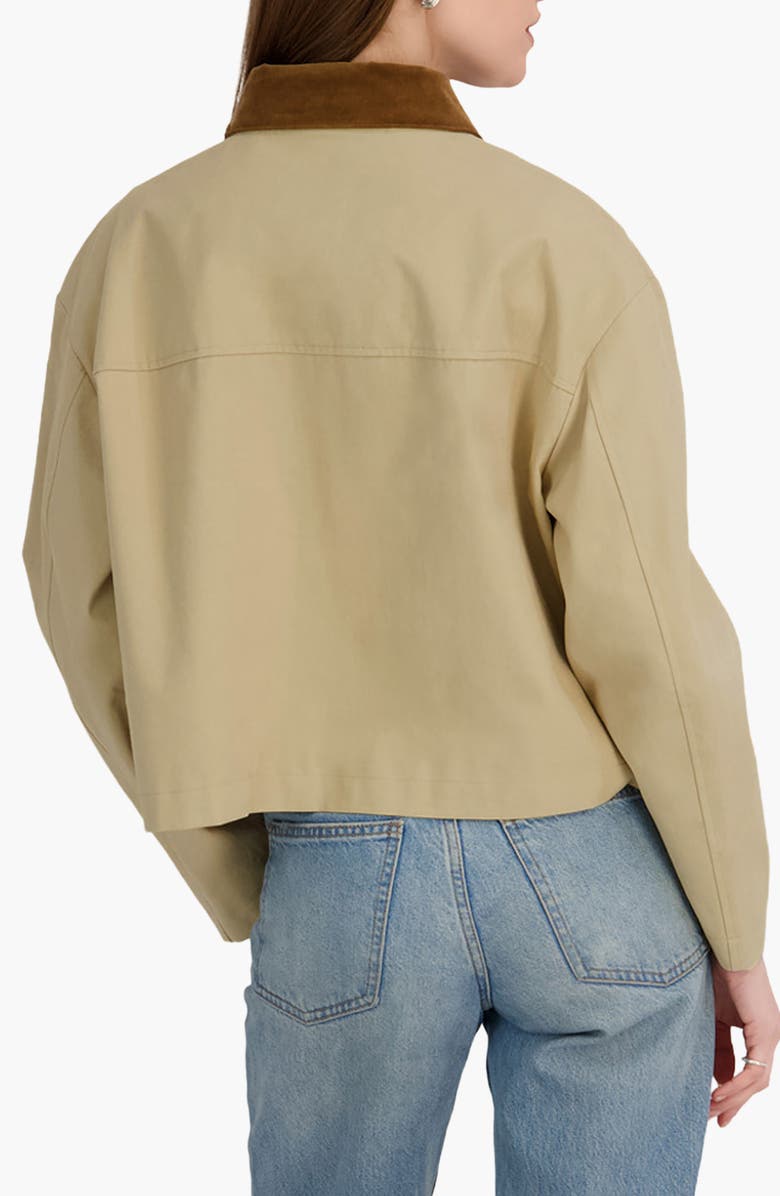 Tahari Deia Corduroy Collar Cotton Barn Jacket, Alternate, color, Ecru