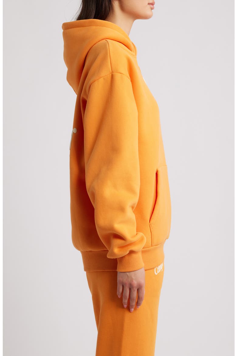 Puff Series Core Logo Cotton Blend Hoodie, Alternate, color, SPICED PUMPKIN
