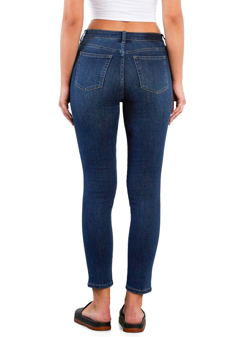 Brilliant Ankle Skinny Jeans, Alternate, color, HAMPTON
