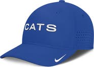 Nike Men's Nike Royal Kentucky Wildcats Gameday Aerobill Swooshflex Dri-FIT Hat