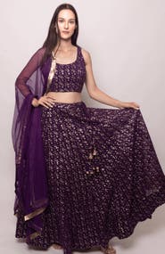 RAAS Jaden Sequins Embroidered Lehenga Choli