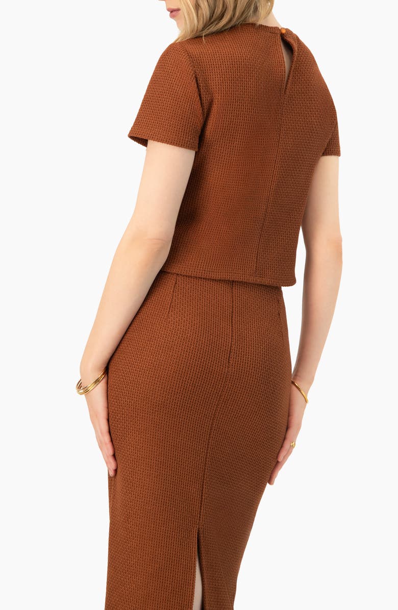 IVONNE Textured Knit Short Sleeve Top, Alternate, color, Brown