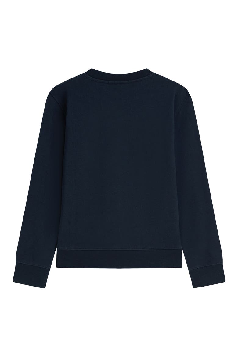 Kids' Relaxed Fit Embroidered Graphic Sweatshirt, Alternate, color, SKY CAPTAIN