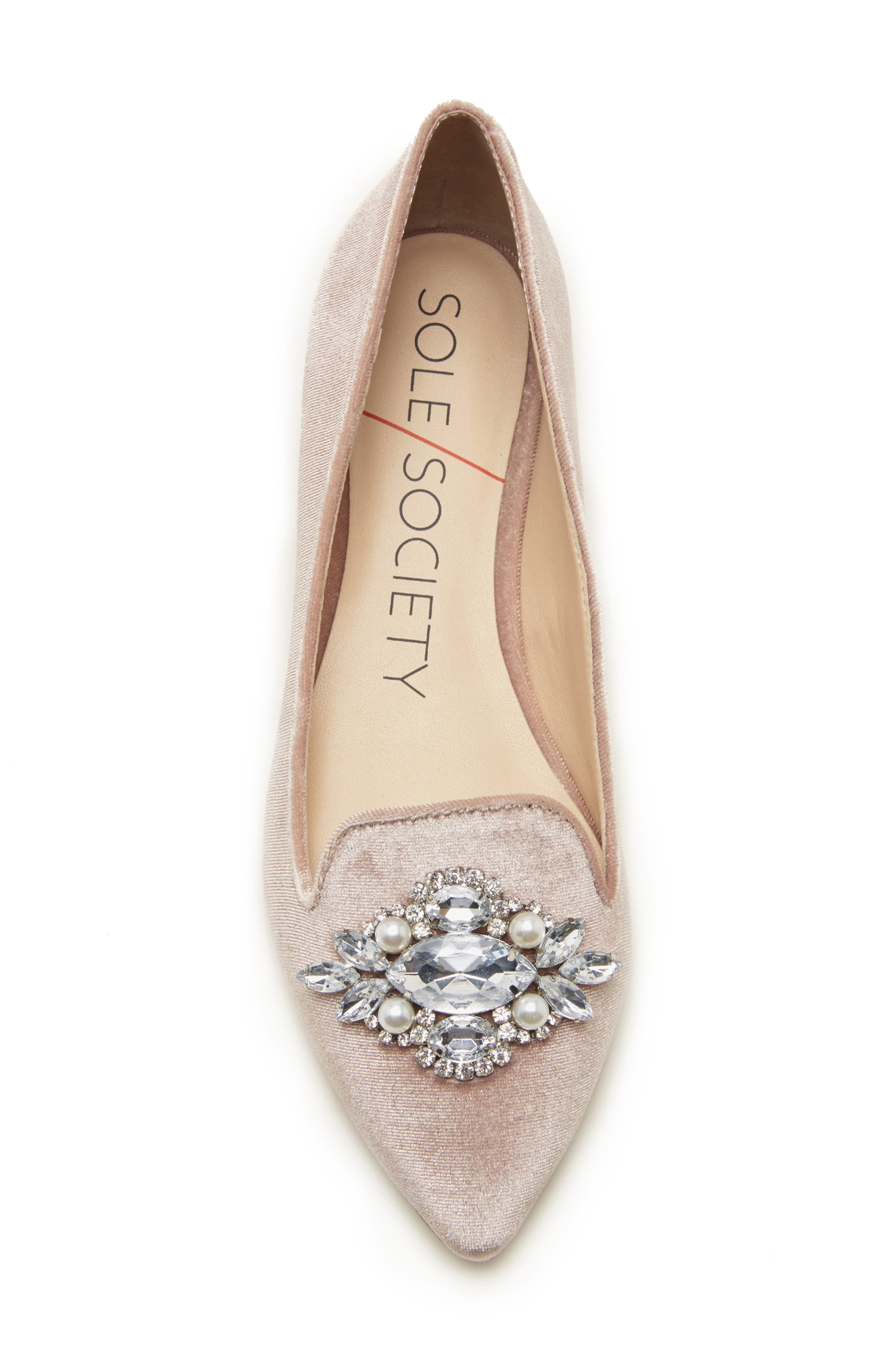 Libry Crystal Embellished Flat, Alternate, color, MOONLIGHT SUEDE