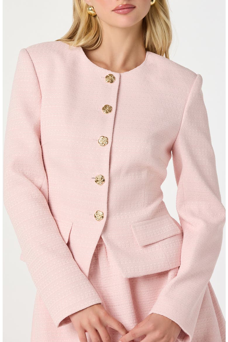 Tweed Fitted Blazer, Alternate, color, PINK