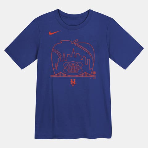 Preschool Nike Blue New York Mets Hometown Local Collection T-Shirt