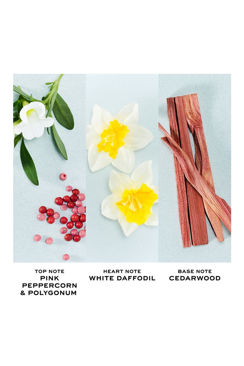 Perfect Eau de Toilette, Alternate, color, NO COLOR