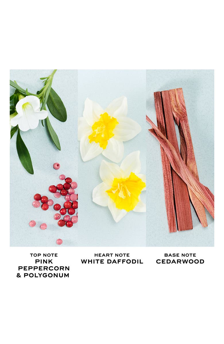 Marc Jacobs Perfect Eau de Toilette, Alternate, color,