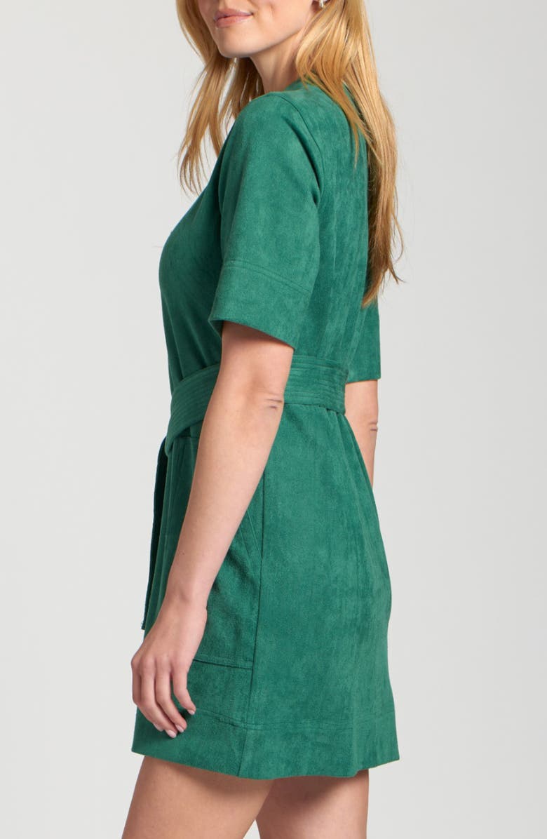 APNY Faux Suede Belted Dress, Alternate, color,
