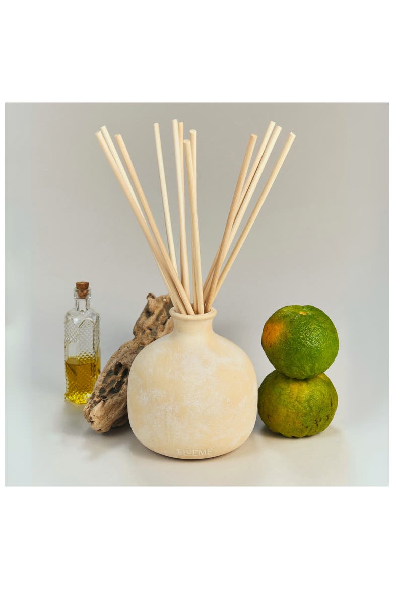 Nostalgia Large Ceramic Reed Diffuser, Alternate, color, NO COLOR