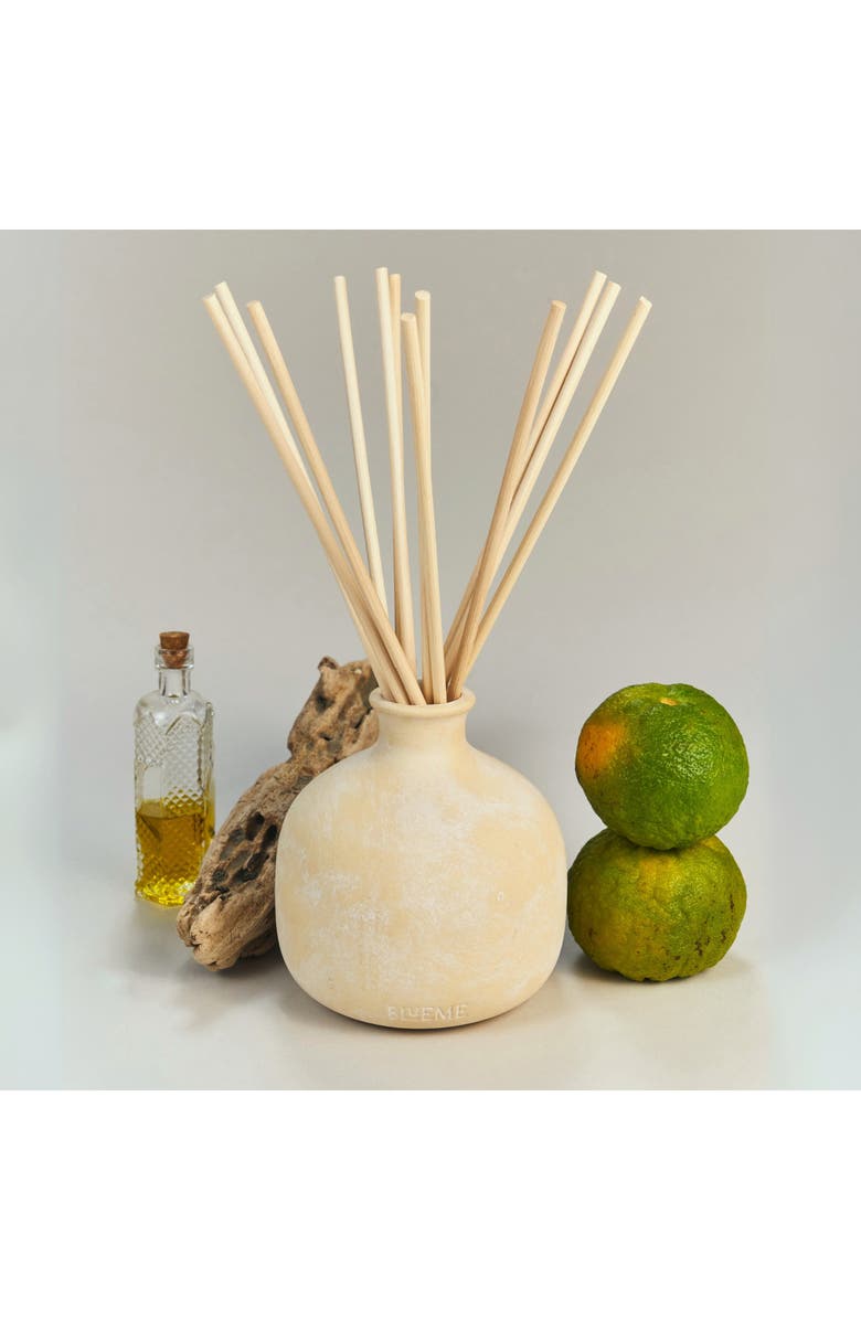 Blueme Nostalgia Large Ceramic Reed Diffuser, Alternate, color, 