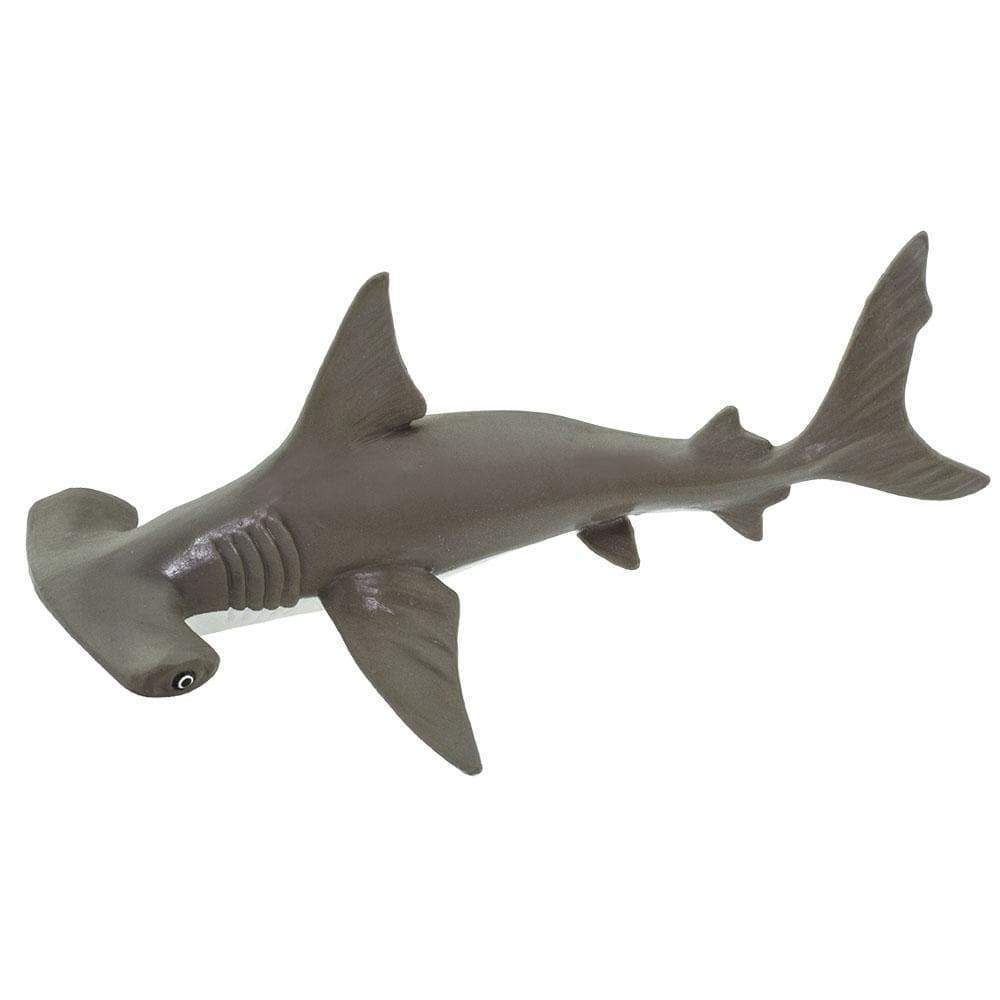Hammerhead Shark Baby Toy | Nordstrom