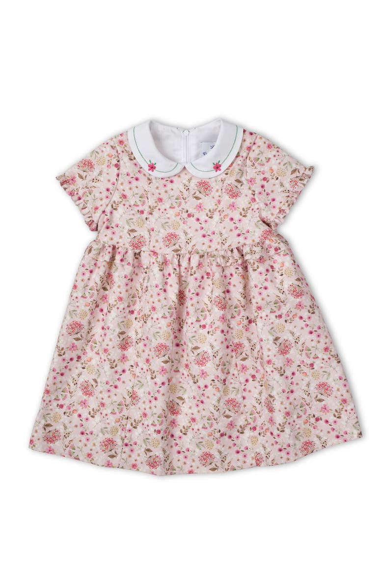 Florence Eiseman Floral Dress With Embroidered Collar, Main, color, Ivory And Red Floral