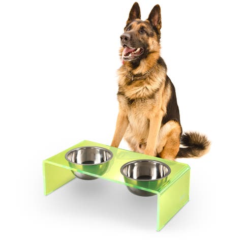 Keaton Modern Lucite Rectangular Elevated Pet Feeder with 2-Stainless Steel Bowls