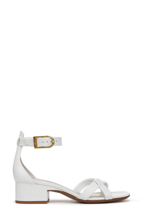 SARTO BY FRANCO SARTO SARTO BY FRANCO SARTO NERISSA ANKLE STRAP SANDAL