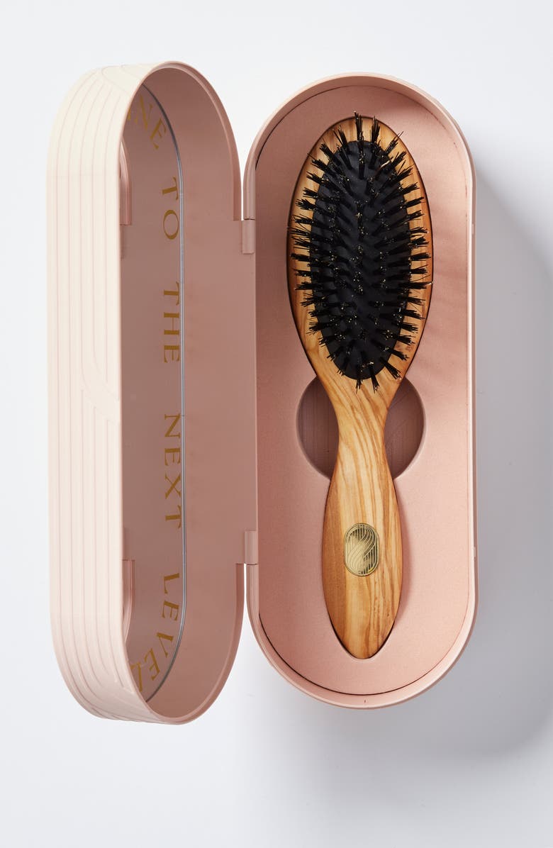 Altesse Studio Repair and Shine Brush - Thick Or Curly, Alternate, color, NO COLOR