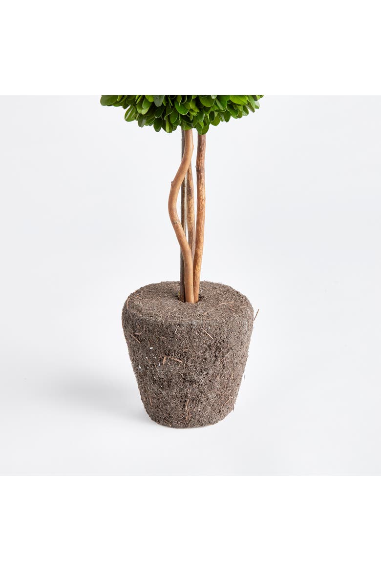 Boxwood Single Sphere Topiary Drop-In 16", Alternate, color, Green