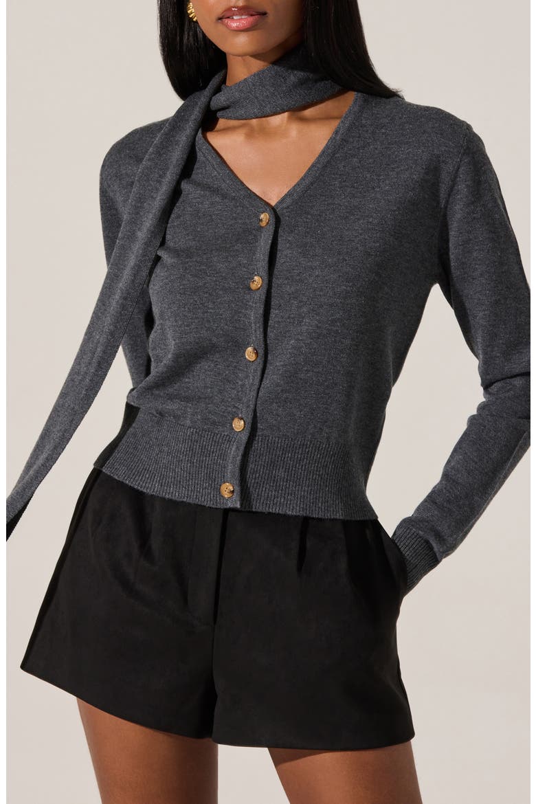 Glynne Scarf V-Neck Cardigan, Main, color, CHARCOAL