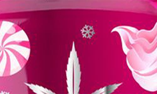 Hempz Pink Peppermint Meringue Body Moisturizer In Transparent