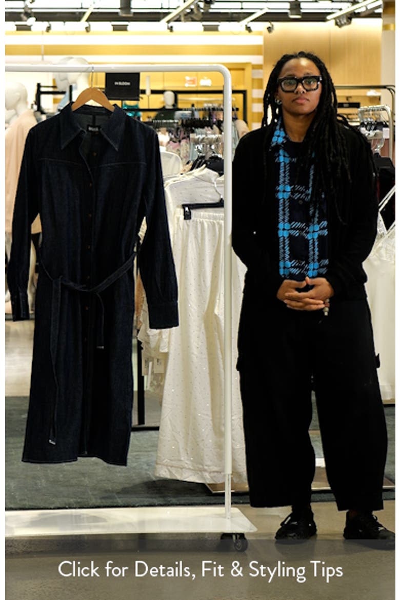 Dilenea Long Sleeve Denim Dress video