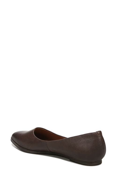 ZODIAC ZODIAC HILL POINTY TOE FLAT