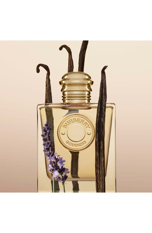 Burberry Trio Gift Set $248 Value In Transparent
