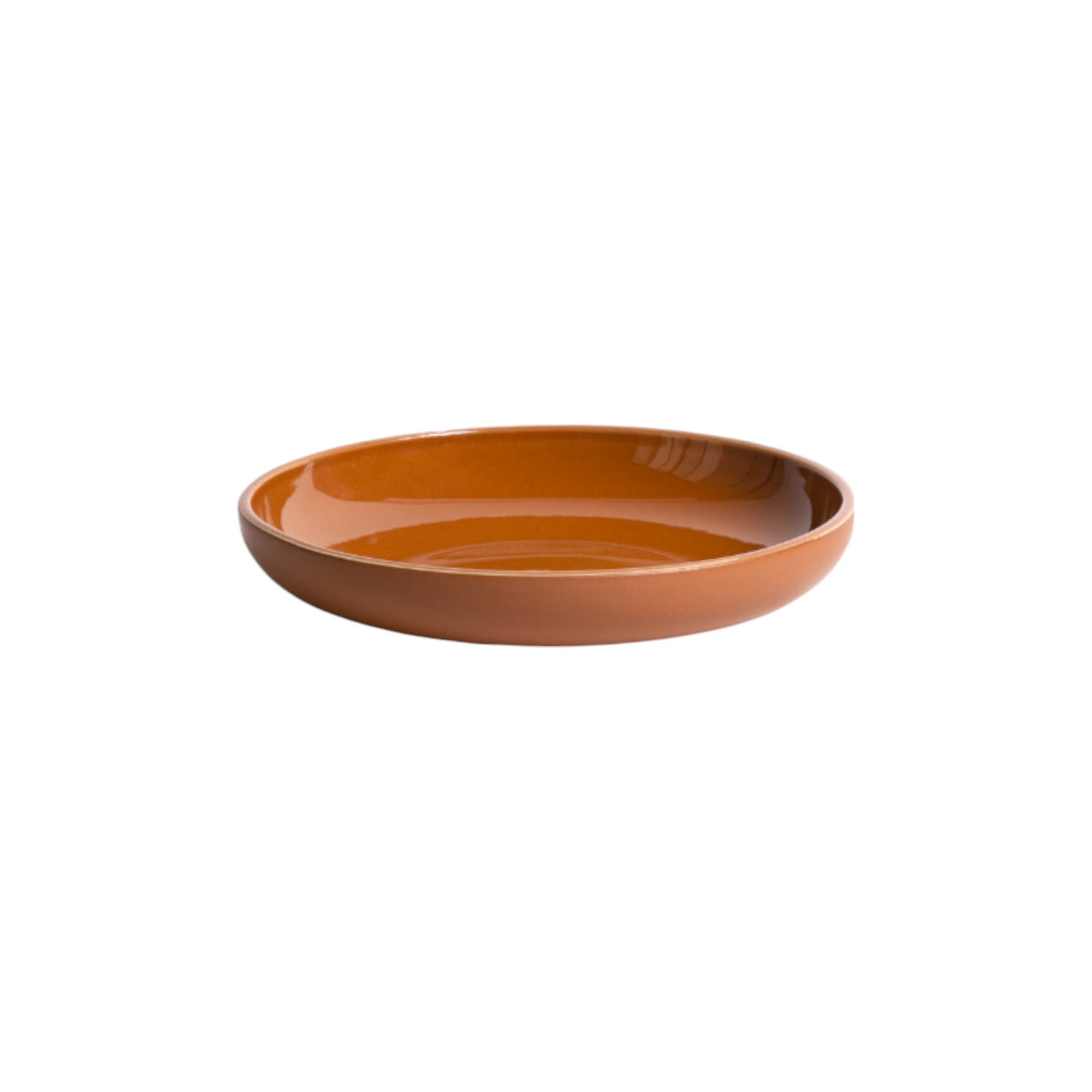 Matte / Shiny Terracotta