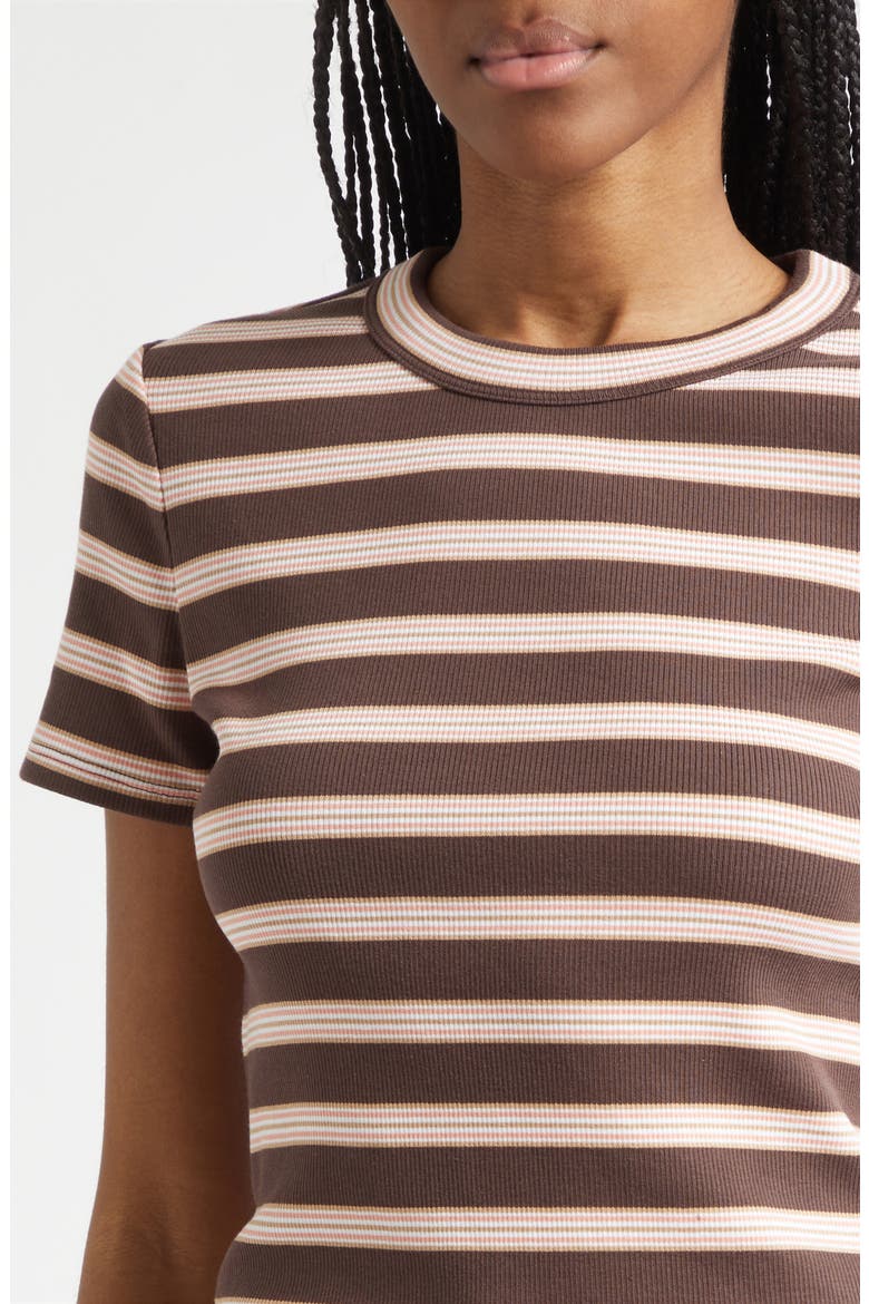 Pruitt Stripe Rib T-Shirt, Alternate, color, BROWN STRIPE