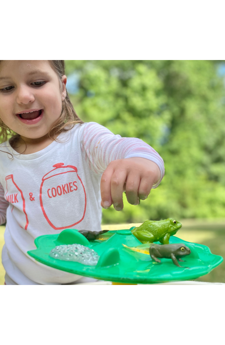 Safari Ltd. Life Cycle Of A Frog, Alternate, color, NO COLOR