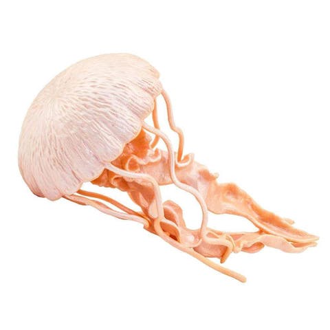 Jellyfish Toy