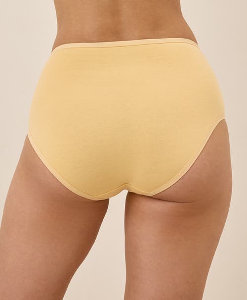 Shop Pact Organic Cotton Everyday High Rise Brief 6-pack