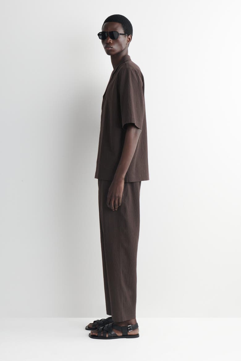Seersucker Regular-fit Tapered Pants, Alternate, color, BROWN