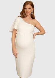 Tiffany Rose Maternity Taylor One Shoulder Dress