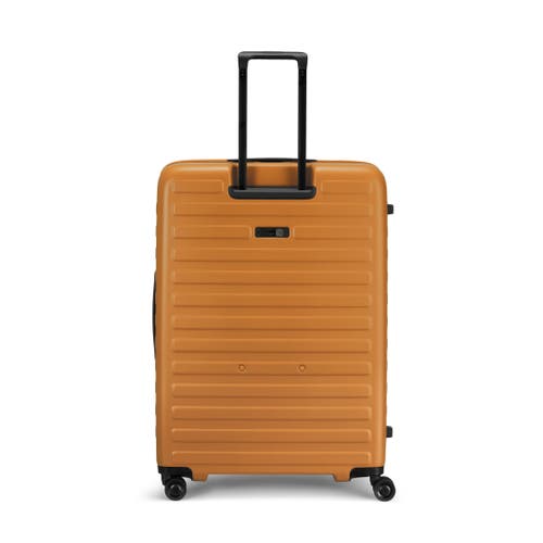 Lojel Cubo Large Check