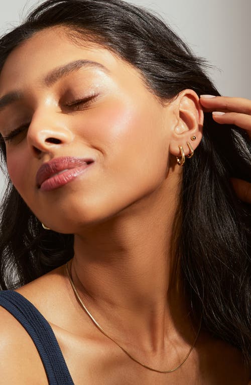 Ana Luisa Small Rox Oval Hoop Earrings