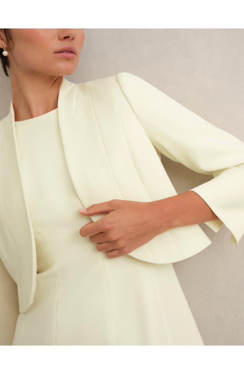 HOBBS LONDON Eliana Jacket, Alternate, color, Pale Yellow