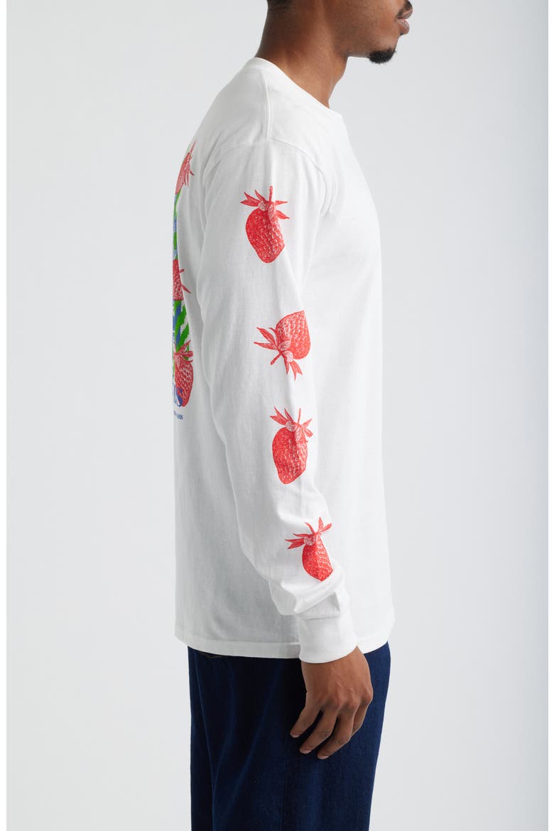 Strawberry Garden Long Sleeve Cotton Graphic T-Shirt, Alternate, color, WHITE